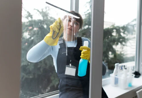 Nettoyage de vitres intérieures et extérieures à Montchenu